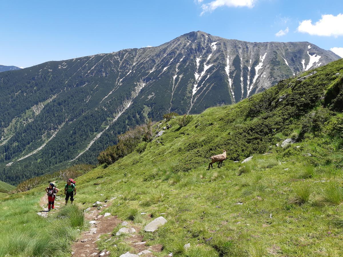 La Pierre Apartments Bansko Zewnętrze zdjęcie